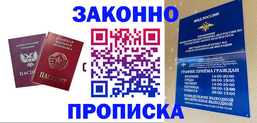 прописка в Шебекино